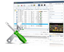 Mac DVD to Video